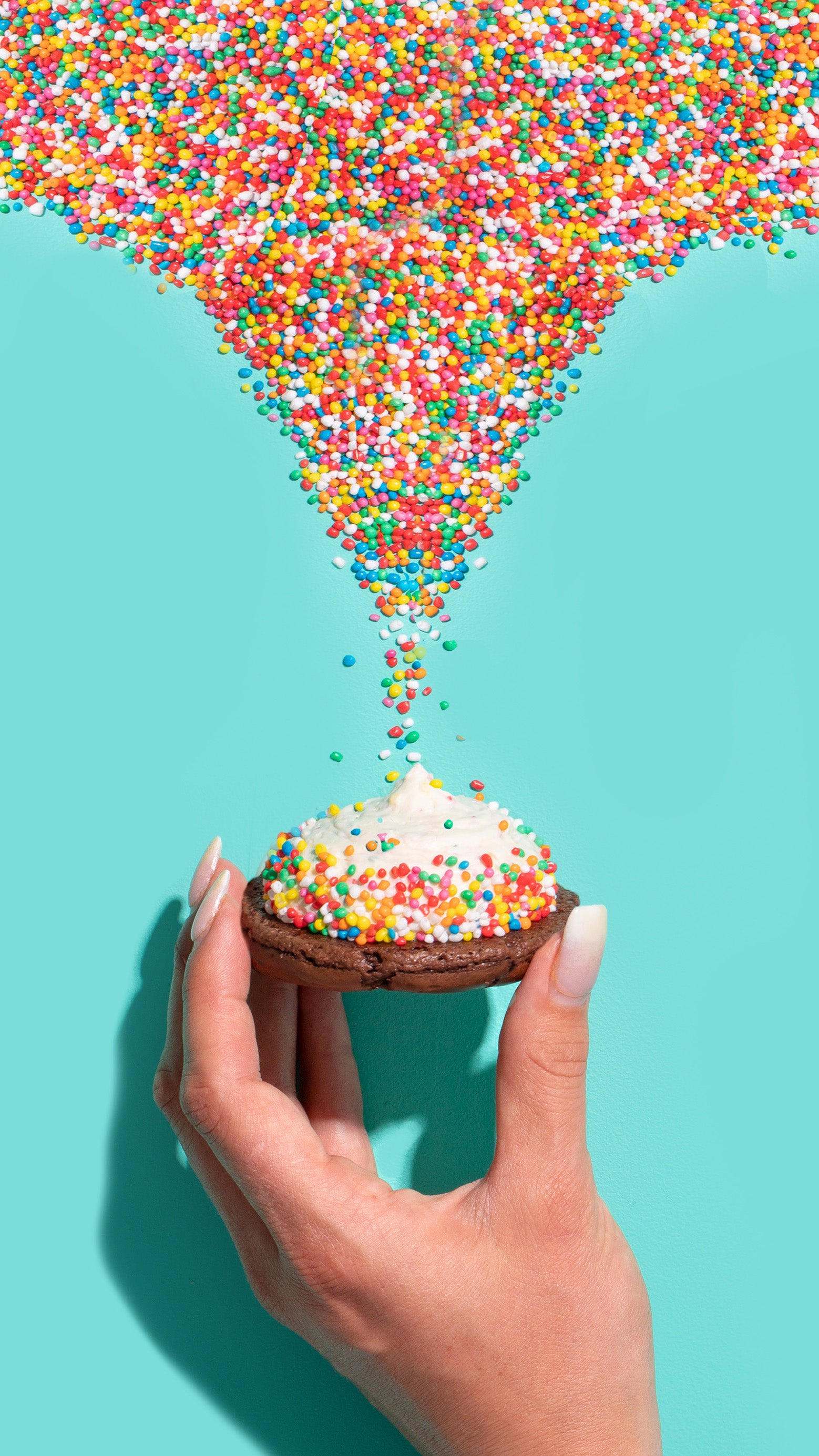 Birthday Cake bulk party pack - 12 cookies