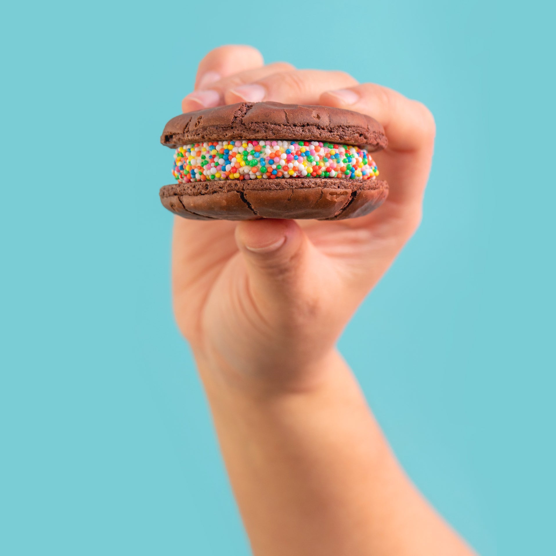 Birthday Cake bulk party pack - 12 cookies