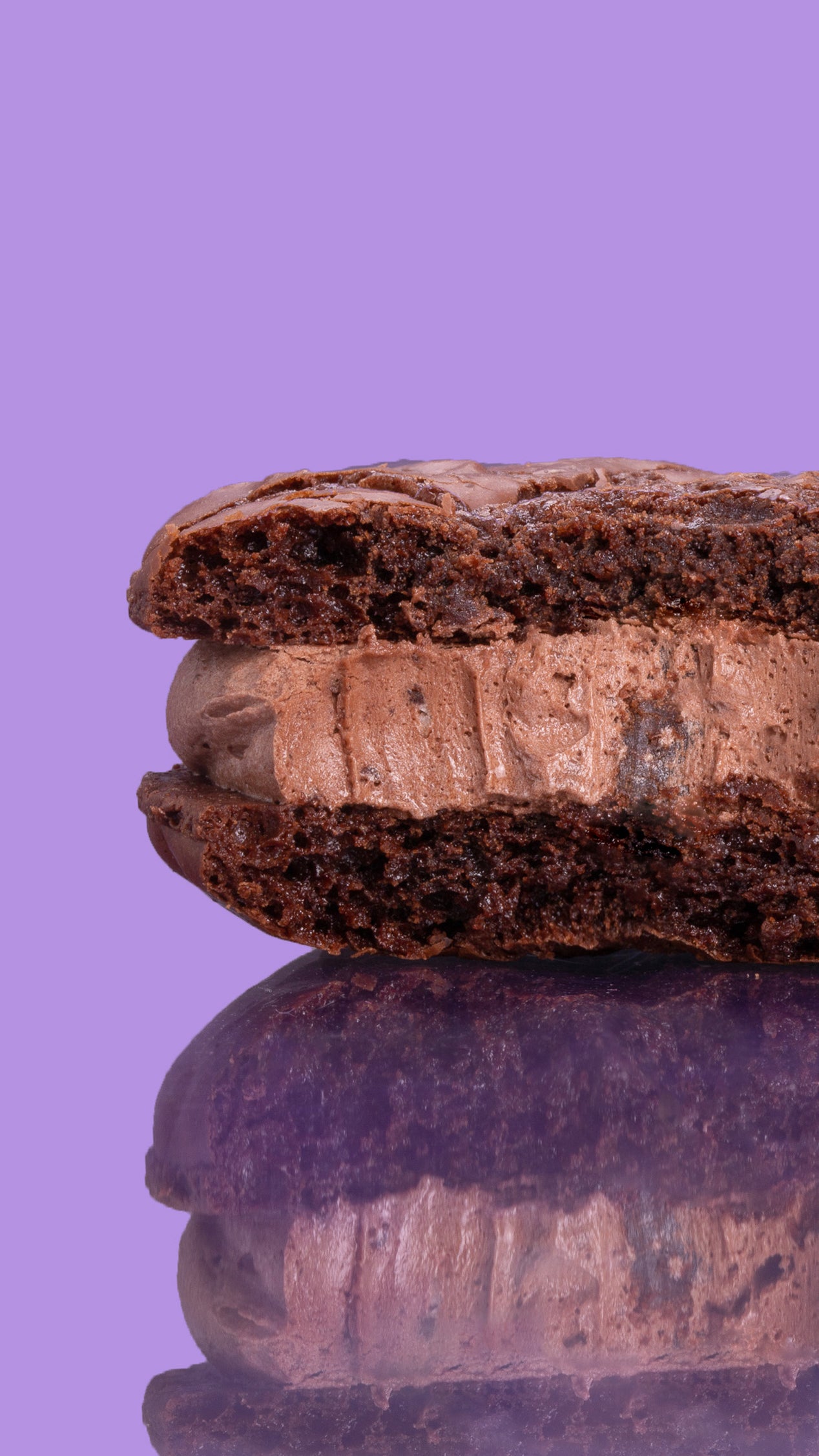 Choc Mud Cake bulk party pack - 12 cookies